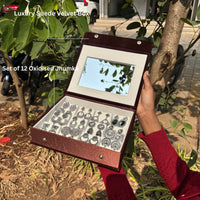 Premium Mirror Box With 12 Unique  jhumkas And Name